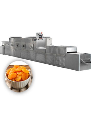 Microwave Drying Machine